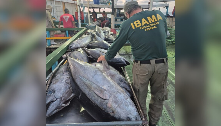 Uma imagem impressionante