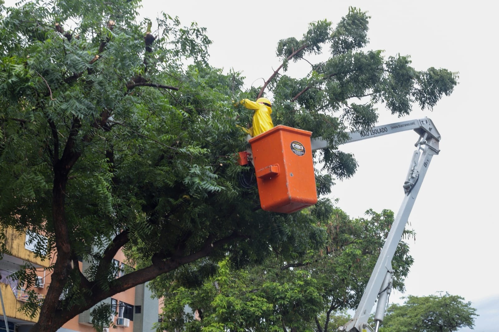 Uma imagem impressionante