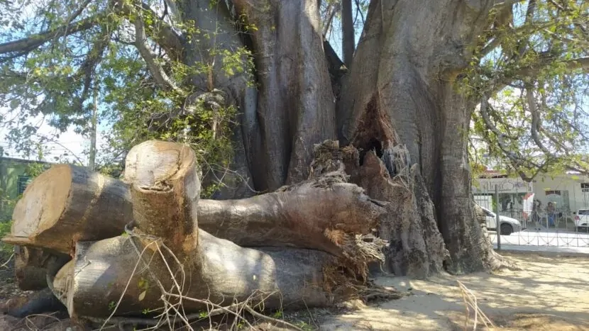 Uma imagem impressionante