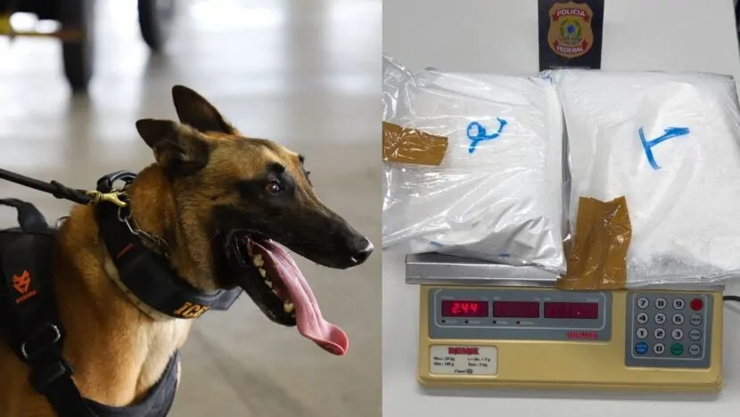 Uma imagem impressionante