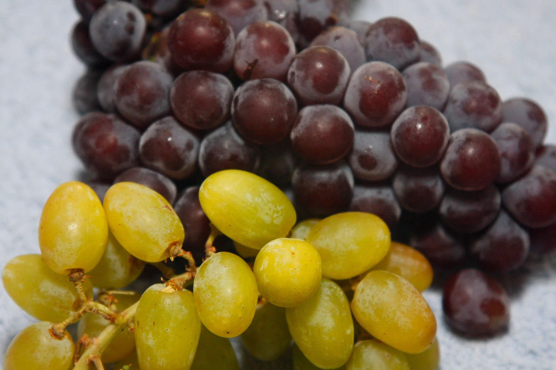 Uma imagem impressionante