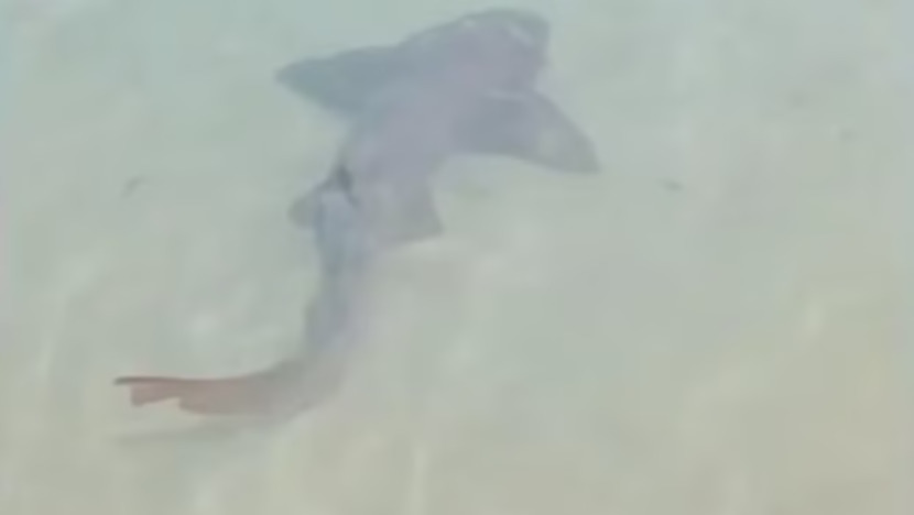 Uma imagem impressionante