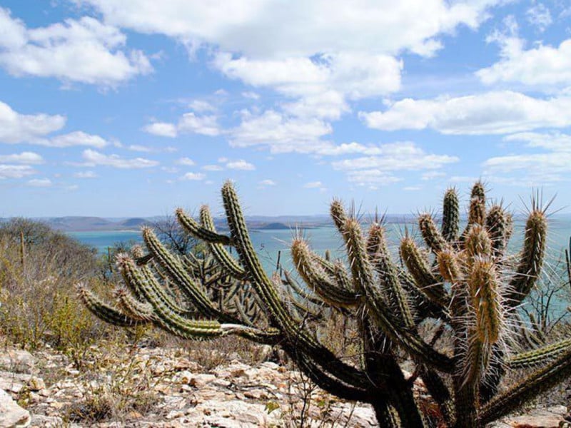 Uma imagem impressionante