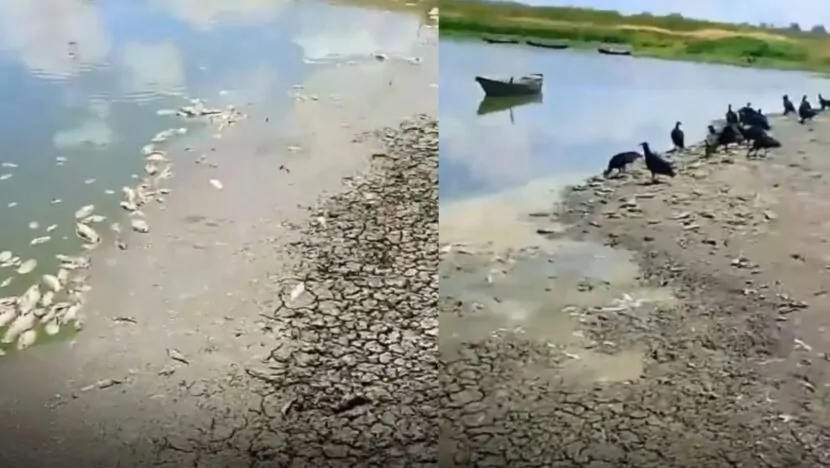 Uma imagem impressionante