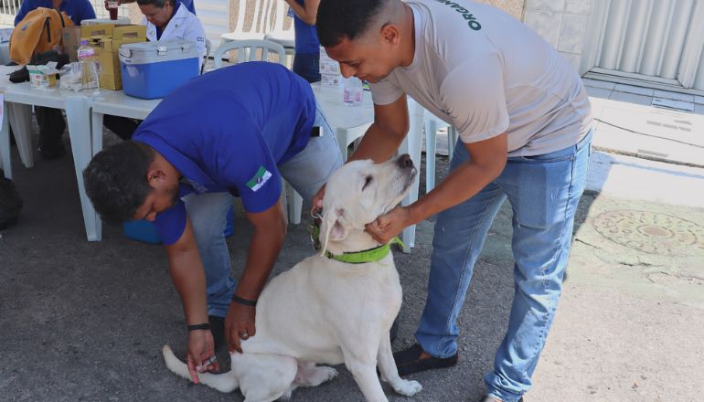 Uma imagem impressionante