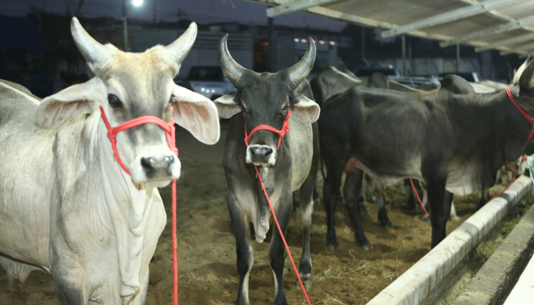 Uma imagem impressionante