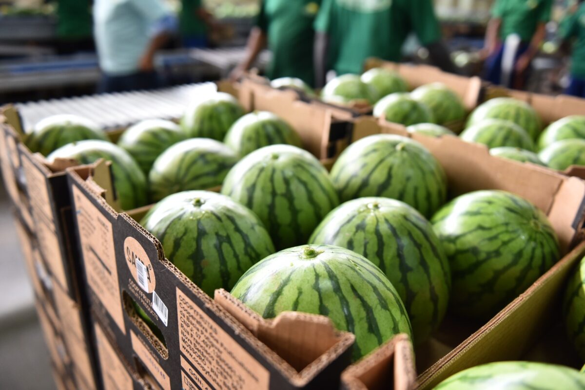 Uma imagem impressionante