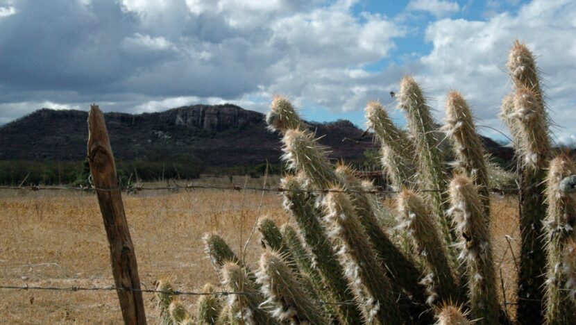 Uma imagem impressionante