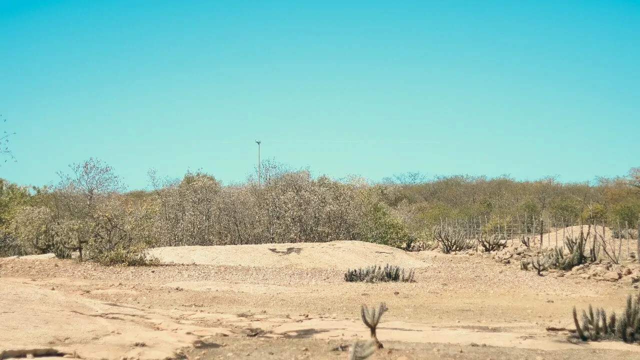 Uma imagem impressionante